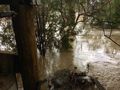 Coyote Creek Flood_The Flow