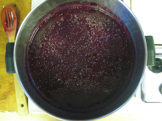 Elderberry Syrup Cooking